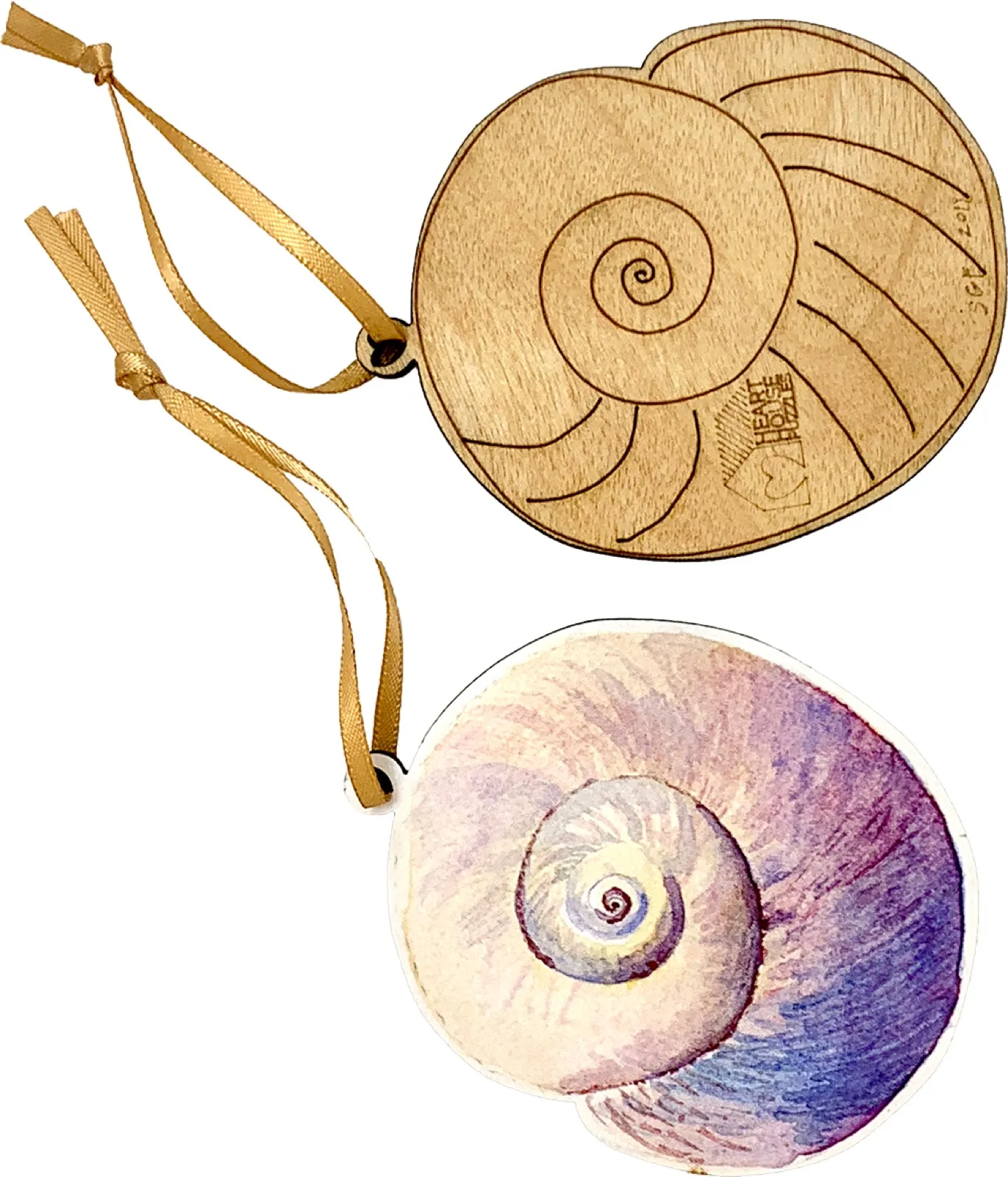 Moon Snail Shell Ornament (vertical)
